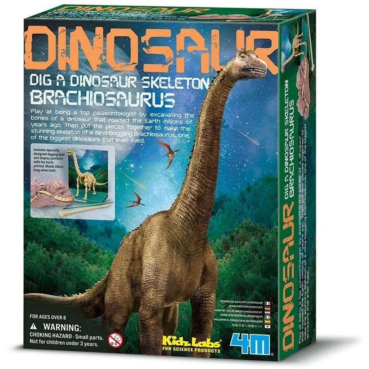 4M dig a brachiosaurus