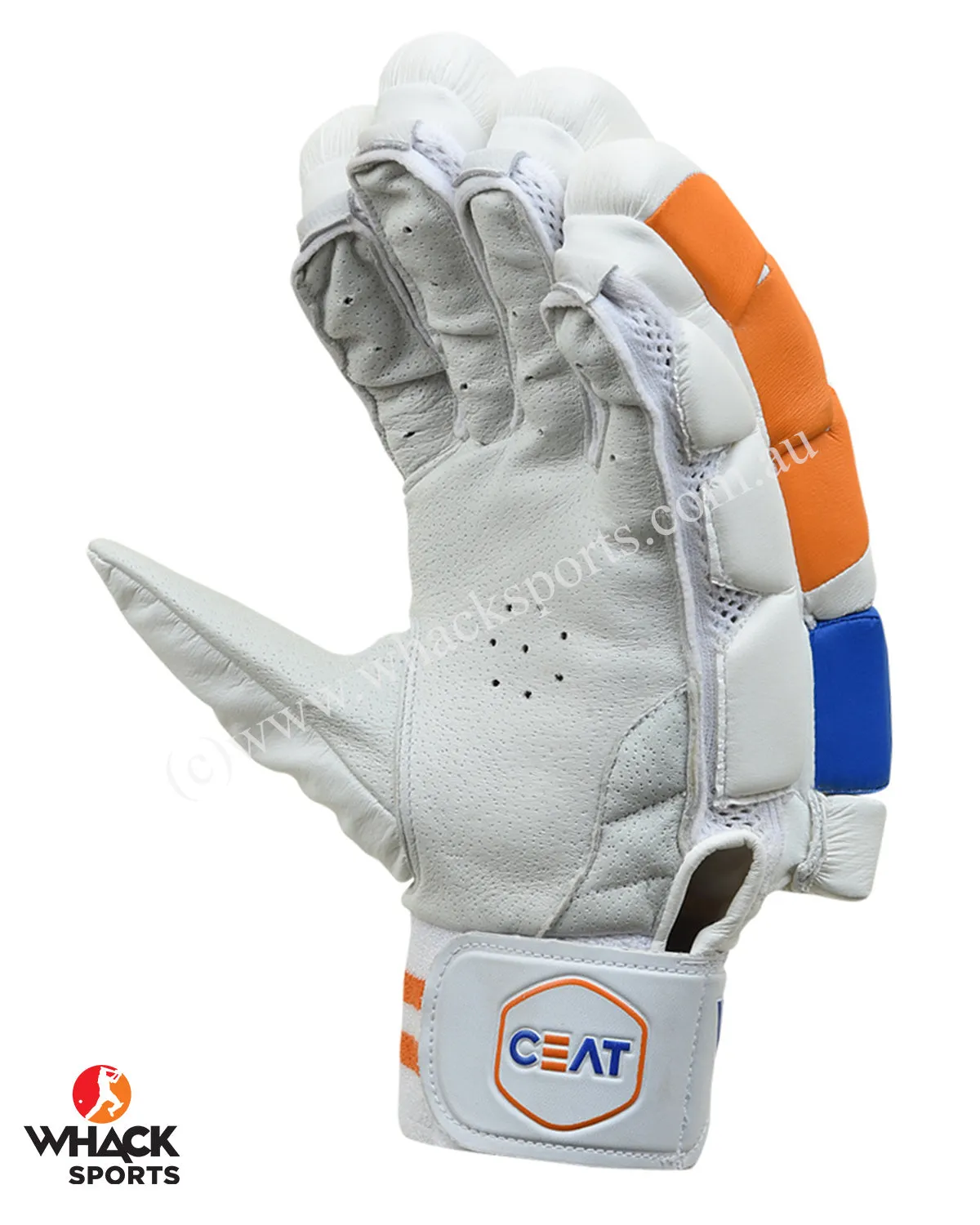 Ceat Hitman Players grade Cricket Bundle Kit