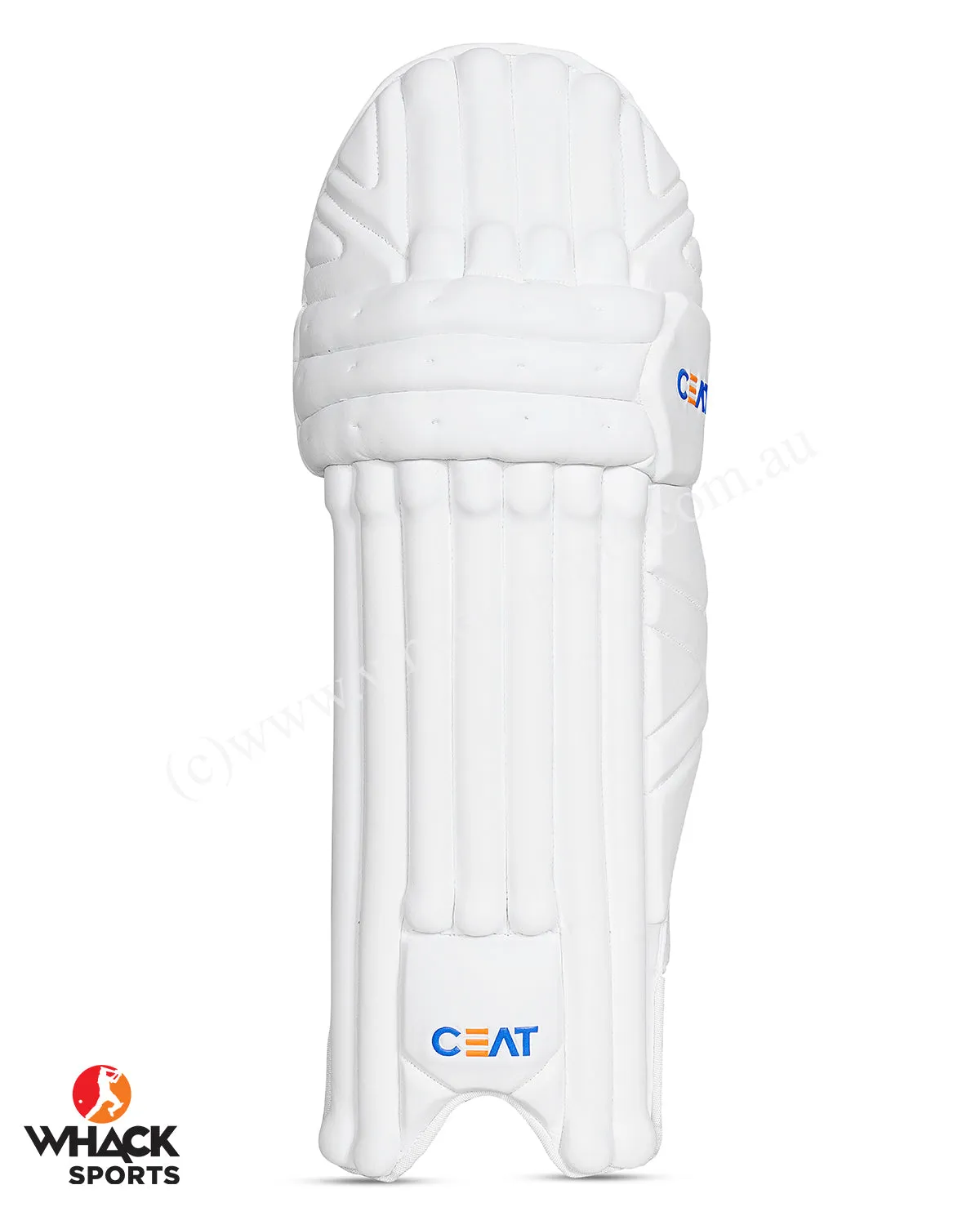 Ceat Hitman Players grade Cricket Bundle Kit