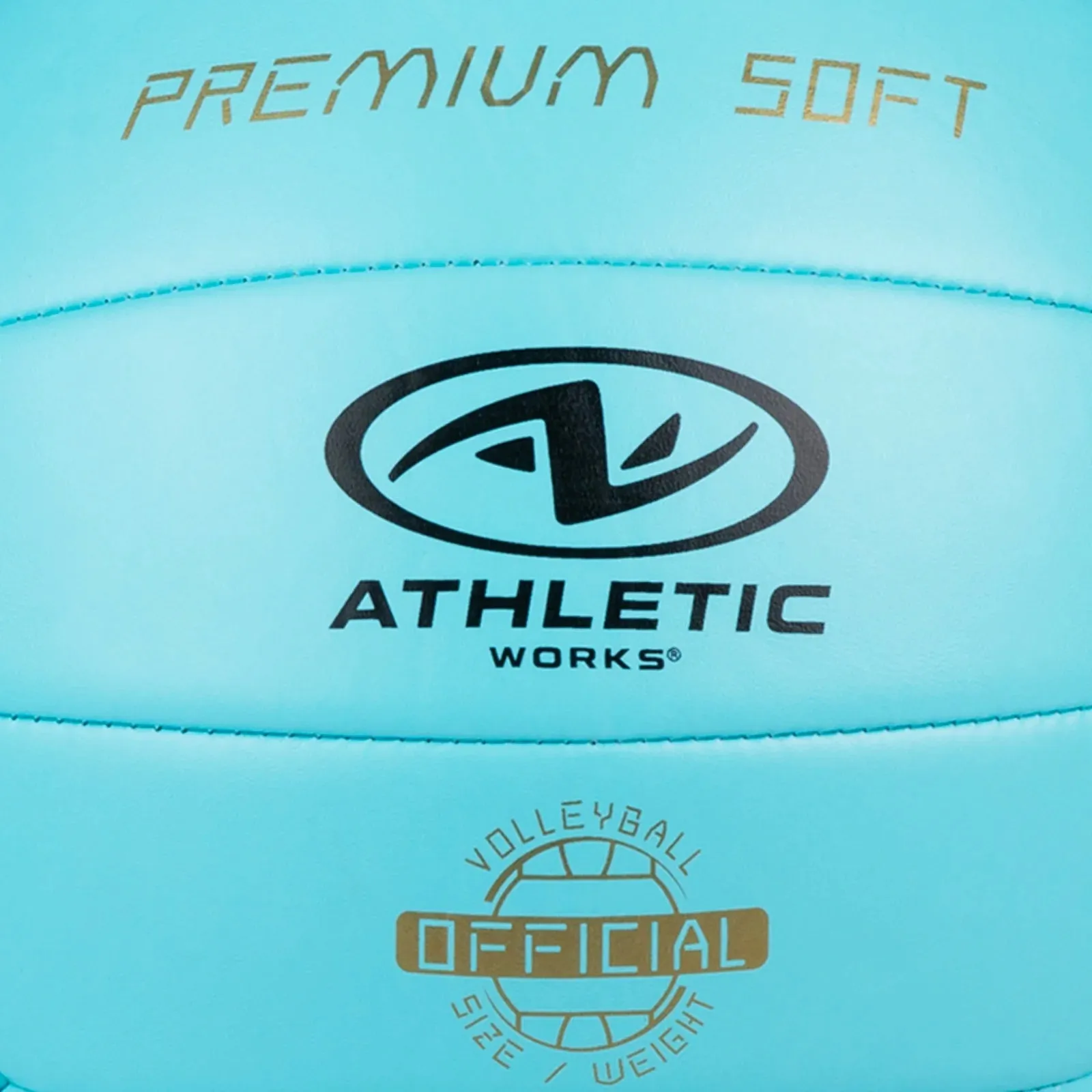 Size 5 Premium Soft Volleyball, Blue